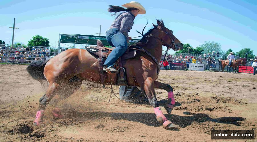 汗水与梦想，共创辉煌！